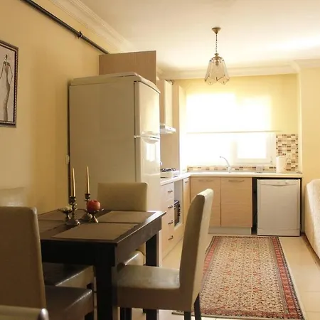Comfortable, Near Sabiha Gokcen Airport And Viaport Shopping Center 2 Br Istanbul